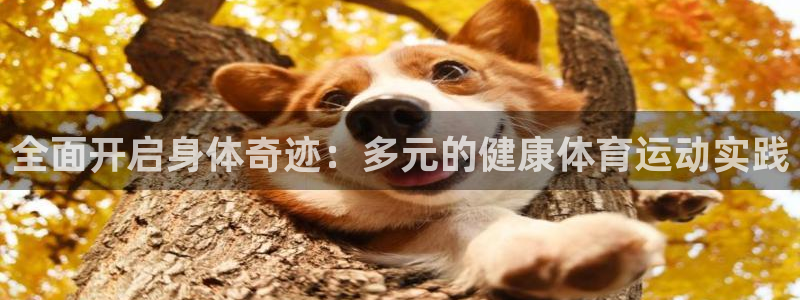 极速体育快直播：全面开启身体奇迹：多元的健康体育运动实践