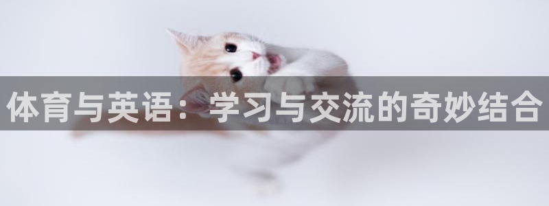 体育极速体育：体育与英语：学习与交流的奇妙结合