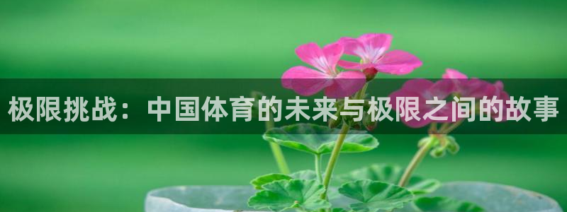 极速体育极速体育：极限挑战：中国体育的未来与极限之间的故事
